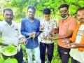 अजगराची अंडी कृत्रिमरित्या उबवून १६ पिल्लांचा जन्म - Marathi News | Artificially hatched python eggs give birth to 16 chicks | Latest buldhana News at Lokmat.com