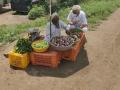 भाजीपाला थेट ग्राहकांना विक्र ी करावा - Marathi News | Vegetables should be sold directly to consumers | Latest nashik News at Lokmat.com