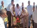 कोपरगावला ७९ गावात वृक्ष लागवड - Marathi News | Tree plantation in 79 villages in Koparga | Latest ahilyanagar News at Lokmat.com