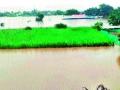 नायगाव खोऱ्यातील नदी-नाले प्रवाहित - Marathi News | River-stream flows in the Naigaon Valley | Latest nashik News at Lokmat.com