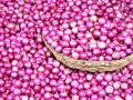 लाल कांद्याची प्रचंड आवक - Marathi News | Heavy influx of red onion | Latest nashik News at Lokmat.com