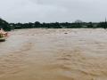 पाळे खुर्द परिसरात मुसळदार पाऊस शेती पिकाचे नुकसान - Marathi News | Damage to torrential rains, agricultural crops in the Pale Khurd area | Latest nashik News at Lokmat.com