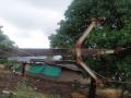 वादळामुळे जिल्ह्यात ६५० विजेचे पोल जमीनदोस्त - Marathi News | Due to the storm, 650 electricity poles were demolished in the district | Latest nashik News at Lokmat.com