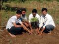 अंत्यविधीच्या राखेत लावली आंब्याची झाडे - Marathi News | Planting mango trees in the funeral | Latest chhatrapati-sambhajinagar News at Lokmat.com