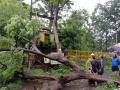 गोदाकाठावरील ७२ रोहित्रे सुरक्षिततेसाठी बंद - Marathi News | nashik,rohitre,at,godakastha,closed,for,safety | Latest nashik News at Lokmat.com