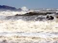दक्षिणेकडील वाऱ्याने समुद्र खवळला, नौका देवगड बंदरात - Marathi News |  The south wind swept the sea, boats in Devgad port | Latest sindhudurga News at Lokmat.com