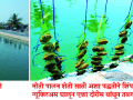 युवकाने साकारली मोती पालन शेती - Marathi News | The youth started cultivating pearl farming | Latest kolhapur News at Lokmat.com