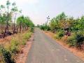 समुद्रपूर वनपरिक्षेत्रातील रस्त्यांवर फुलली हिरवळ - Marathi News | The roads in the Samudrapur forest range are green | Latest vardha News at Lokmat.com