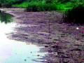 नवरगावच्या पाण्यासाठी जिल्हाधिकाऱ्यांना साकडे - Marathi News | To collect water from Nawargaon, collectors | Latest yavatmal News at Lokmat.com