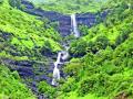 हिरवाईने नटला इगतपुरी तालुका - Marathi News | Greenway Natala Igatpuri Taluka | Latest nashik News at Lokmat.com