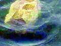 चक्क पाच किलाेचा दगड पाण्यावर तरंगायला लागला - Marathi News | A stone of about five kilos started floating on the water | Latest nagpur News at Lokmat.com