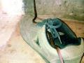अबब! बुटात आढळला साप - Marathi News | My God! The snake found in the shoe | Latest nagpur News at Lokmat.com