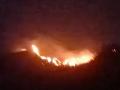 मेळघाटात उसळला आगडोंब; पाचशे हेक्टरचे जंगल खाक  - Marathi News | Fire in Melghat; Five hundred hectares of forest ash | Latest amravati News at Lokmat.com