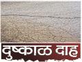 संपूर्ण बीड जिल्ह्यात भयंकर दुष्काळ - Marathi News | A severe drought in entire Beed district | Latest beed News at Lokmat.com