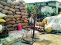 आधारभूत धान खरेदी केंद्रावर मनमानी कारभार - Marathi News | Autonomous stewardship at Aadhaar Paddy Shopping Center | Latest bhandara News at Lokmat.com