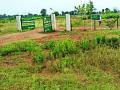 वृक्ष लागवडीची चौकशी मंत्रालय अधिकाºयांकडून होणार - Marathi News | The inquiry of the tree plantation will be done by the Ministry | Latest bhandara News at Lokmat.com