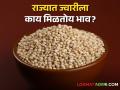 Sorghum Market today: राज्यात आज शाळूसह, मालदांडी, दादर ज्वारीची आवक, काय मिळतोय भाव? - Marathi News | | Latest agriculture News at Lokmat.com