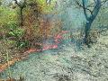तीन वर्षात १९ हजार हेक्टर जंगलाला आग - Marathi News | 19 thousand hectares of forest fire in three years | Latest gadchiroli News at Lokmat.com