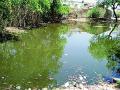 नाल्याचे पाणी बोअरवेल व विहिरीमध्ये - Marathi News | The water will bore well and in the well | Latest gondia News at Lokmat.com