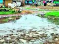 फुलचूर येथील 50 घरांना चिखलाचा वेढा - Marathi News | 50 houses in Fulchur surrounded by mud | Latest gondia News at Lokmat.com