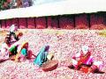 कांदा उत्पादक शेतकऱ्यांना अनुदान देण्याची मागणी - Marathi News | Demand for grant of onion-producing farmers | Latest nashik News at Lokmat.com