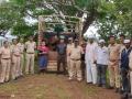 खैर लाकडांची चोरटी तस्करी रोखली ! - Marathi News | Well stopped smuggling of timber! | Latest nashik News at Lokmat.com