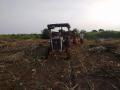 राजापूर परिसरात मका सोंगणीला वेग - Marathi News | Acceleration of maize sowing in Rajapur area | Latest nashik News at Lokmat.com