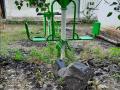 समस्यांच्या विळख्यात सातपूर पोलीस वसाहत जीर्ण इमारत। - Marathi News | Dilapidated building in Satpur police colony in the midst of problems. | Latest nashik News at Lokmat.com