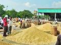 एका दिवसात ३१ हजार क्विंटल साेयाबीनची खरेदी - Marathi News | Purchase of 31,000 quintals of soybeans in one day in Washim APMC | Latest vashim News at Lokmat.com