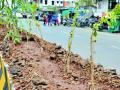 तीन वर्षांत सात लाख वृक्षांवर चालली कुऱ्हाड - Marathi News | Kurchad on seven lakh trees in three years | Latest yavatmal News at Lokmat.com