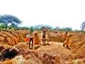 दोनशे रुपये रोज, एक वेळचे जेवण - Marathi News |  Two hundred rupees per day, one meal a day | Latest nashik News at Lokmat.com