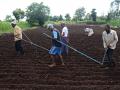 काळगाव विभागात पेरणीची धांदल, शिवारात लगबग - Marathi News | The rush to sow in Kalgaon division, almost in the suburbs: unity among farmers during cultivation | Latest satara News at Lokmat.com