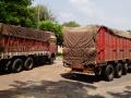 रेतीची अवैध वाहतूक करणारे आठ ट्रक जप्त - Marathi News | Seven trucks carrying illegal traffic seized | Latest amravati News at Lokmat.com