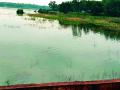 घोडाझरी तलाव ‘ओव्हरफ्लो’च्या टप्प्यात - Marathi News | Horse Pond In the phase of 'overflow' | Latest chandrapur News at Lokmat.com