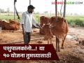 Animal Husbandry Scheme : पशुपालन करताय? पशुसंवर्धन विभागाच्या 'या' १० योजना तुमच्यासाठी! - Marathi News | Animal Husbandry Scheme : Animal husbandry? 'These' 10 Schemes of Animal Husbandry Department for you! | Latest agriculture News at Lokmat.com