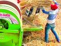 धान उत्पादन घटल्याने शेतकरी चिंताग्रस्त - Marathi News | Farmers worried over declining paddy production | Latest gadchiroli News at Lokmat.com