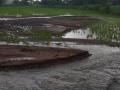 अतिवृष्टीमुळे भातशेतीचे नुकसान - Marathi News | Rice loss due to heavy rainfall | Latest nashik News at Lokmat.com