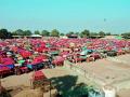 २० हजार क्विंटल कांद्याची आवक - Marathi News | 20 thousand quintals of onion arrivals | Latest nashik News at Lokmat.com
