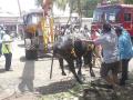 गटारीत पडलेल्या म्हशीला वाचविले, क्रेनची मदत - Marathi News | Rescue of buffalo in gutter, help of crane: Fire brigade, rescue from animal relief | Latest sangli News at Lokmat.com