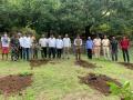 पर्यावरण दिनी अंजनेरी गडावर वृक्षारोपण - Marathi News | Plantation on Anjaneri fort on Environment Day | Latest nashik News at Lokmat.com