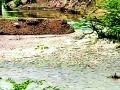 कळंबच्या चक्रवतीत तलावाचे पाणी - Marathi News | Palavera water in Kumbh | Latest yavatmal News at Lokmat.com