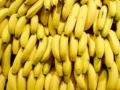 पीक विमा योजनेत केळी, द्राक्षासह आंबा मोसंबीचा केला समावेश - Marathi News | The crop insurance scheme includes bananas, grapes, mangoes and citrus bananas | Latest dhule News at Lokmat.com