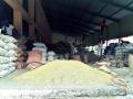 सोयाबीन उत्पादकांची लूट - Marathi News | Plunder of soybean growers | Latest nagpur News at Lokmat.com