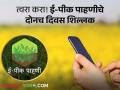 E-Pik Pahani : ई-पीक पाहणीसाठी २ दिवस शिल्लक! न केल्यास मिळणार नाही नुकसानीची भरपाई - Marathi News | E-Pik Pahani 2 days left for E-Pik Pahani Failure to do so will not result in compensation | Latest agriculture News at Lokmat.com