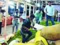 हिरव्या मिरचीची बेभाव विक्री - Marathi News | Green pepper sale | Latest amravati News at Lokmat.com