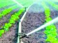 जिल्ह्याच्या कृषी सिंचन क्षमतेत पडणार भर - Marathi News | Increase in the agricultural irrigation capacity of the district | Latest amravati News at Lokmat.com