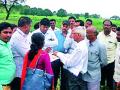 पीक कापणी प्रयोगात विभागीय आयुक्तांचा सहभाग - Marathi News | Participation of Divisional Commissioner in the crop harvesting experiment | Latest amravati News at Lokmat.com