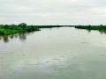 संततधार पावसामुळे नदी-नाले तुडुंब - Marathi News | Rivers drain due to incessant rains | Latest chandrapur News at Lokmat.com