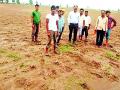 ‘अंकुर’ने दिला शेतकऱ्यांना दगा - Marathi News | 'Ankur' has punished farmers | Latest chandrapur News at Lokmat.com