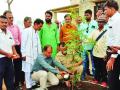 दहा मिनिटांत केली एक हजार कडूनिंबाची लागवड! - Marathi News |  One thousand neem planted in ten minutes! | Latest akola News at Lokmat.com